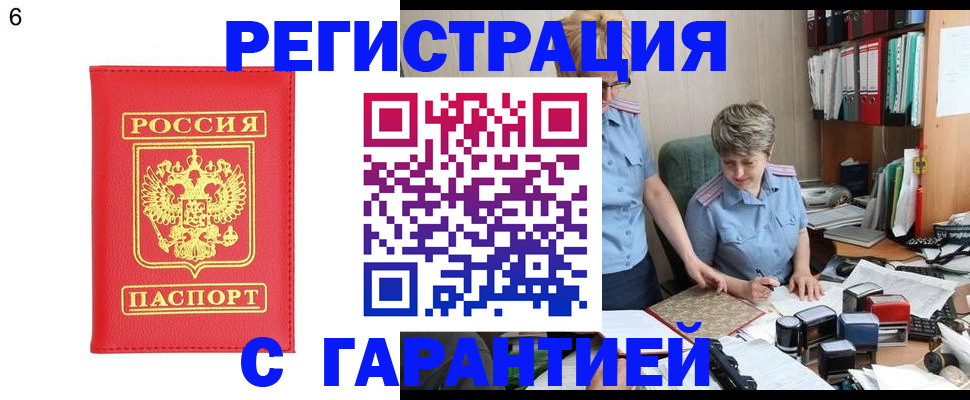 временная регистрация поиск в Курчалом